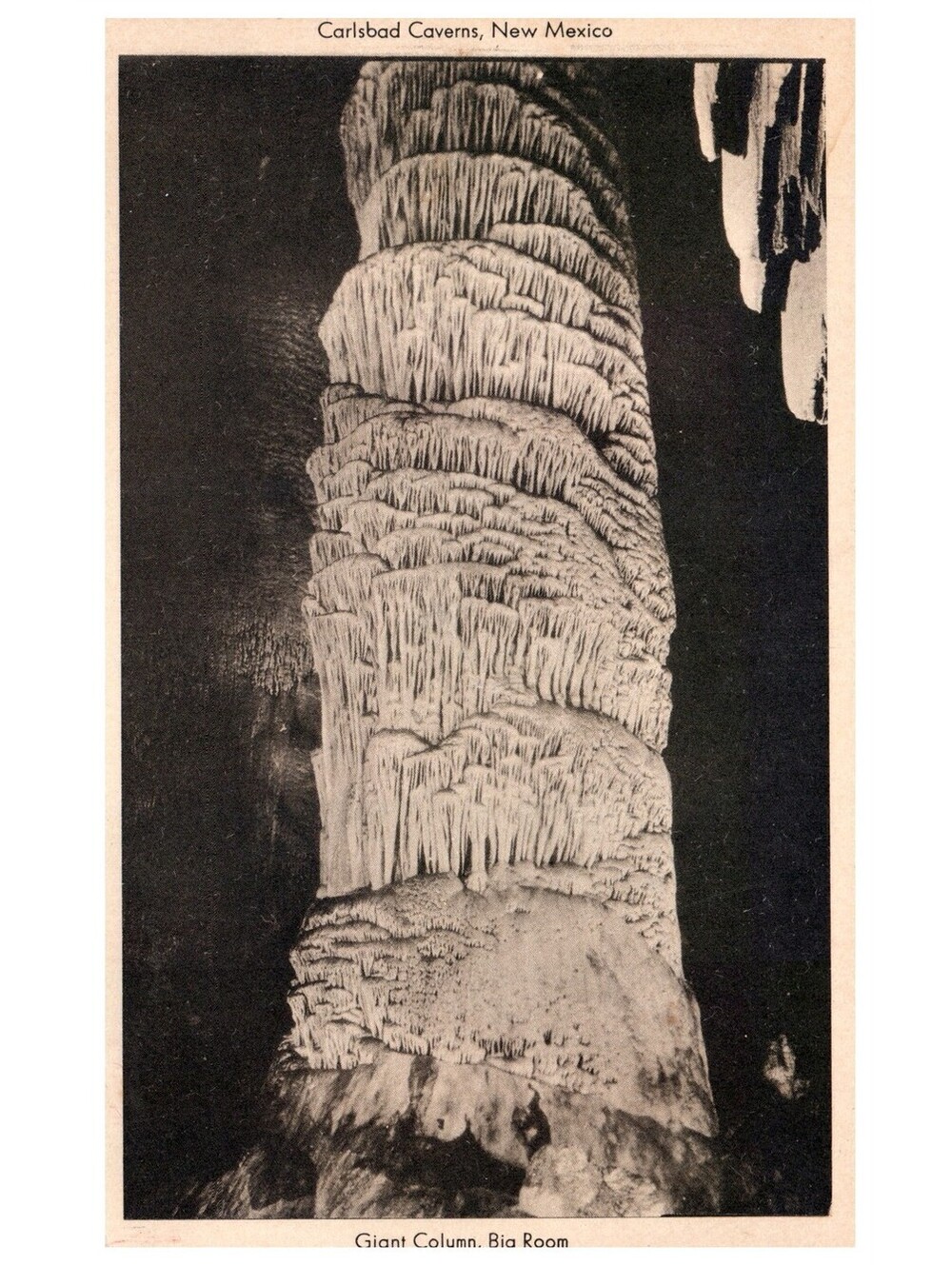 Vintage Postcard 1920s Carlsbad Caverns Giant Dome Big Room New Mexico